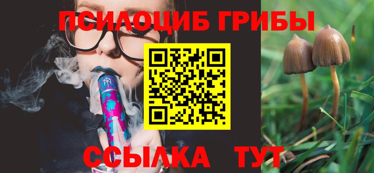 Псилоцибиновые грибы Magic Shrooms Мурино
